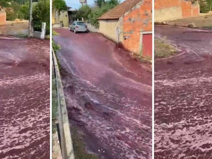 Il giorno in cui il vino scorreva per le strade: l’incidente a Destilaria Levira!