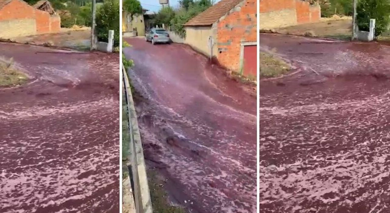 Il giorno in cui il vino scorreva per le strade: l’incidente a Destilaria Levira!