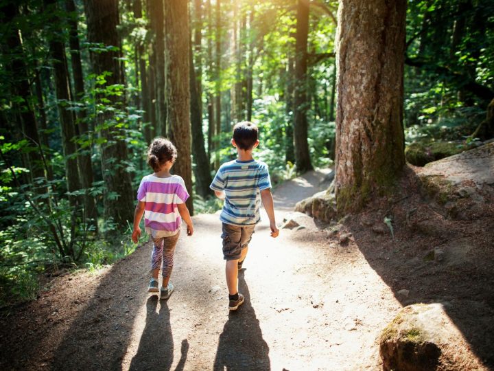 Sopravvivenza di un bambino: due anni da solo, ecco come si è cavato la vita!