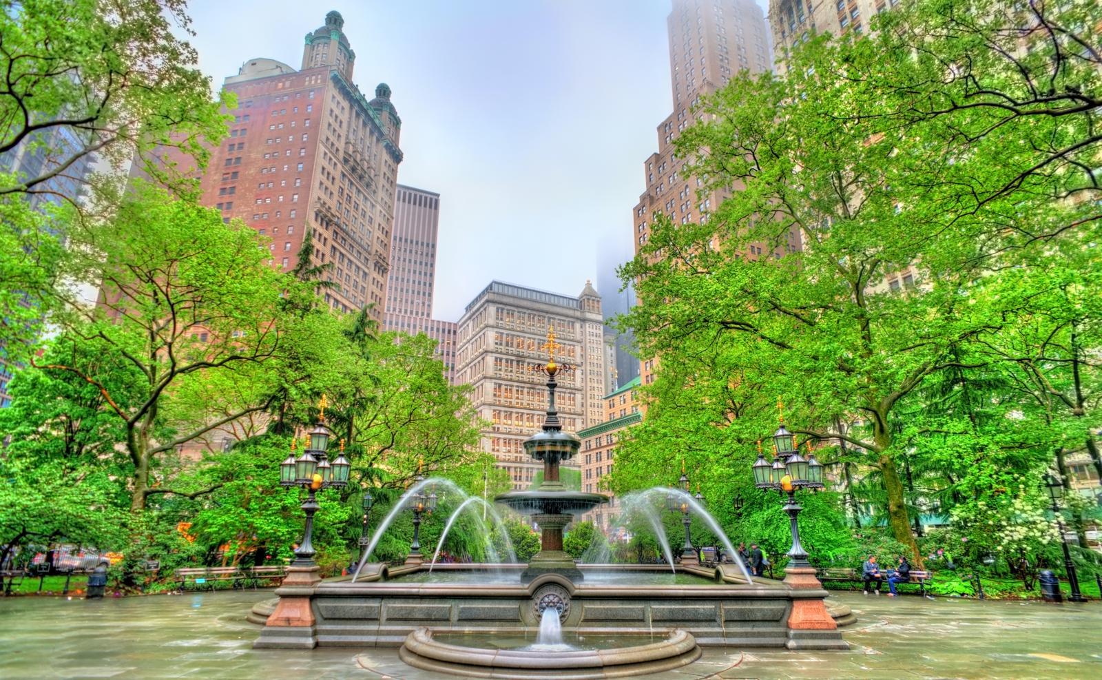 Svelato a Central Park: l’albero dei ricordi per cani e gatti scomparsi!