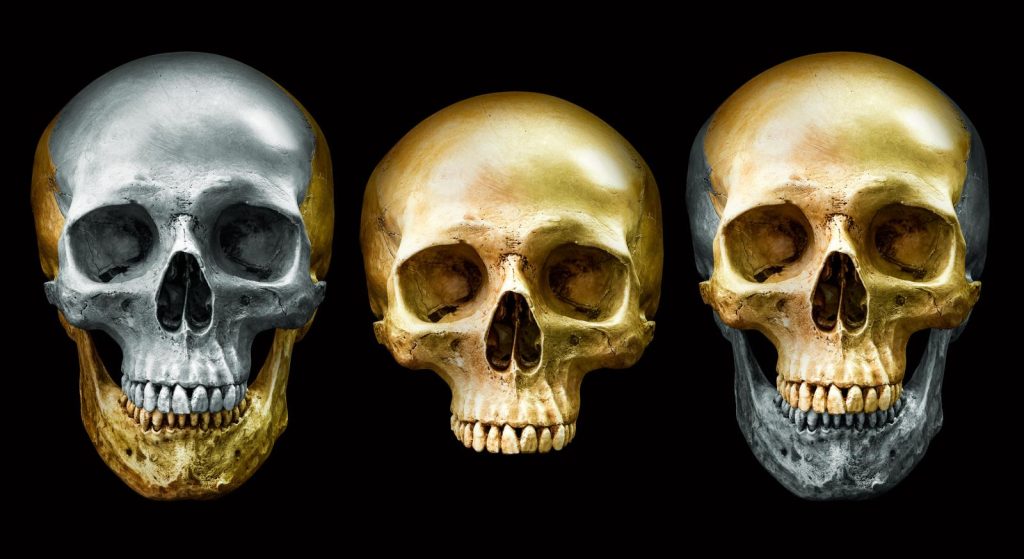 Homo sapiens