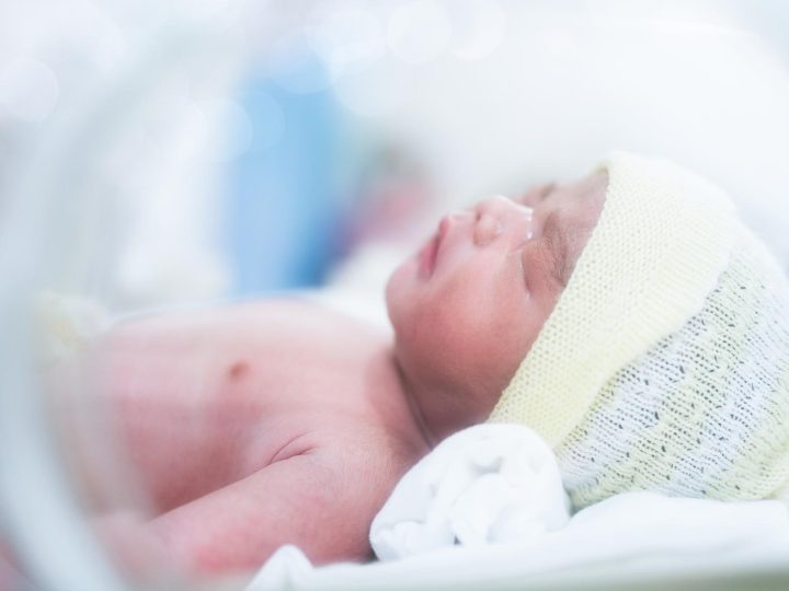 Beatrice: la bellezza senza tempo